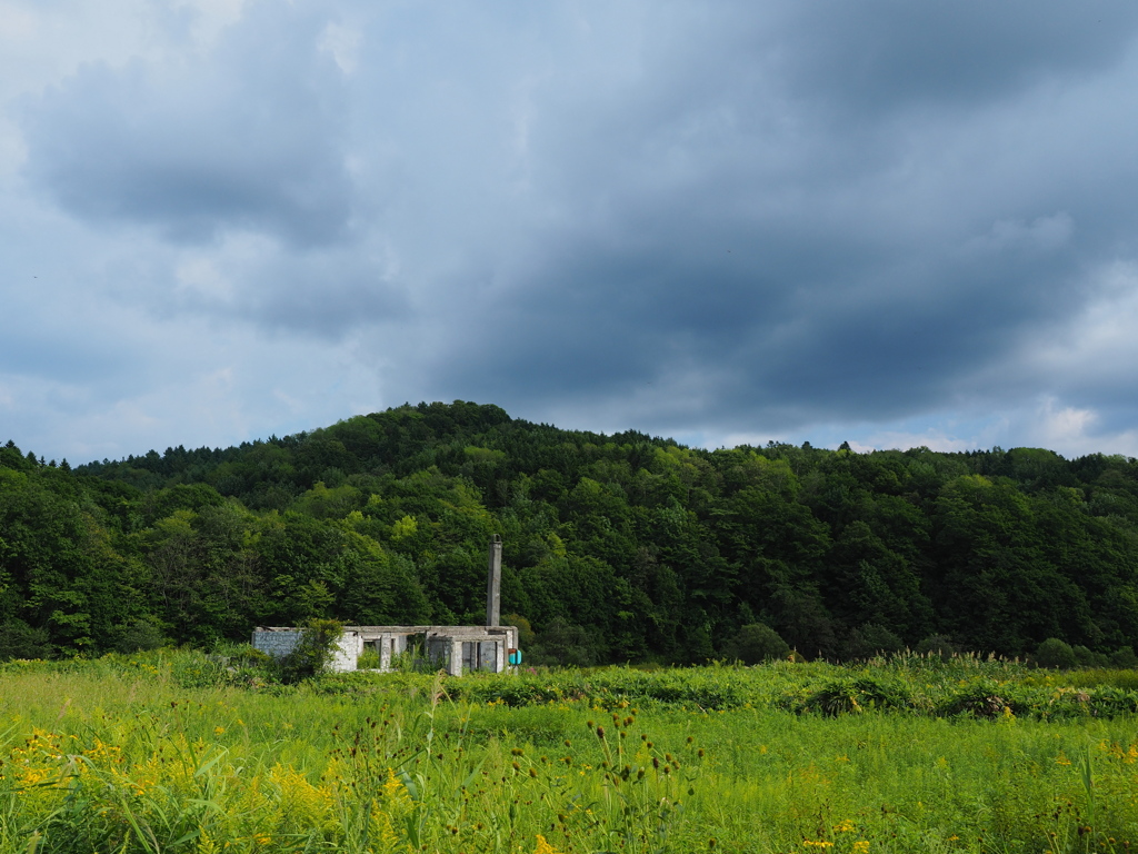 廃の風景
