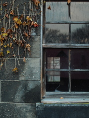 蔦飾りの窓
