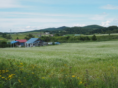 里山暮らし