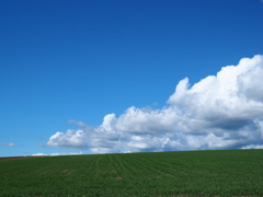 遙かな秋空