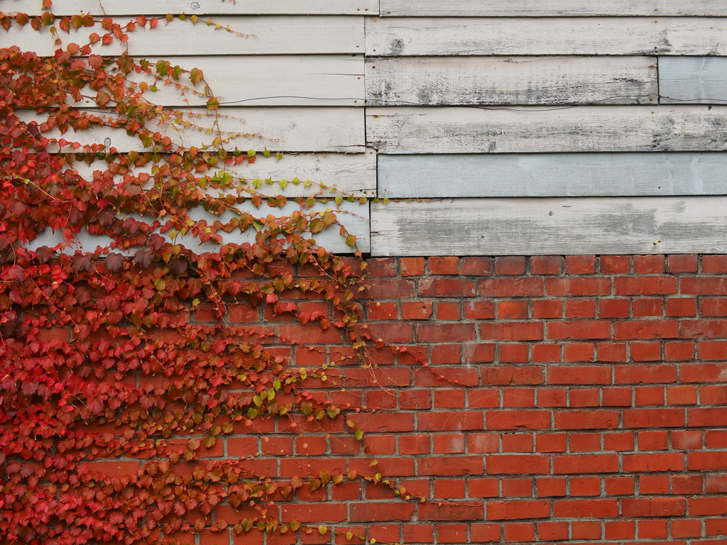 赤と白のcomposition