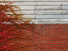 赤と白のcomposition 赤と白のcomposition