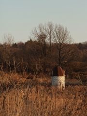 廃の野に未だ斃れず