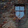 紋章の窓
