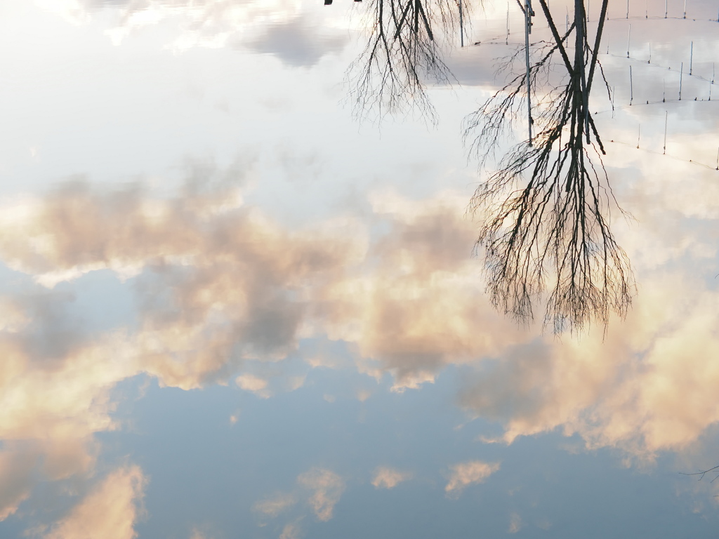 水面の寒空