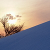 夕陽を呑む