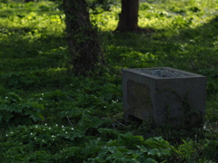 平安の花園