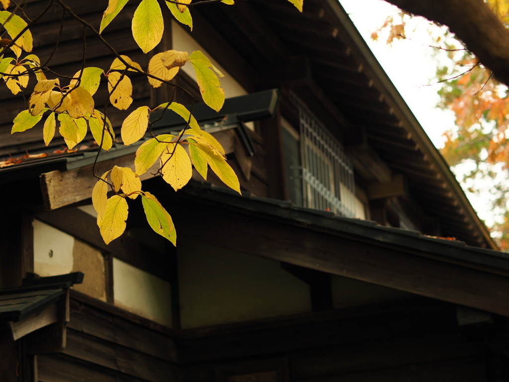 透き通っていく世界