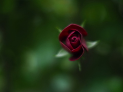 黒赤に挑む