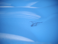 静かに埋もれていく