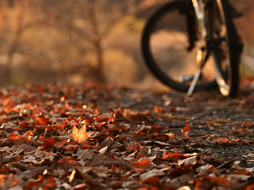 小さな手を振って