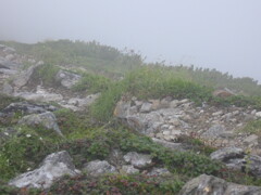 霧中に和む
