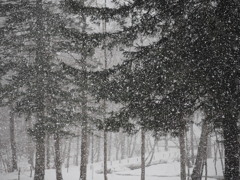 雪降る春分