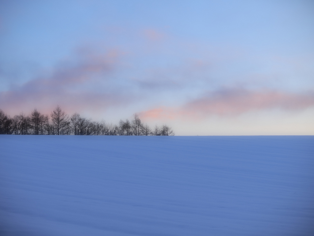 雪原に暮れる