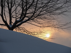 雪に暮れる