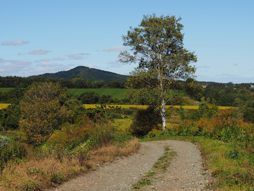 秋の田舎道