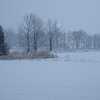 雪が降る