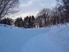二月の散歩道