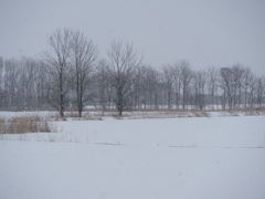 名残雪・・ではない。まだまだ。