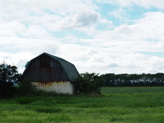 緑野に立つ