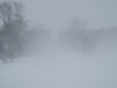 名残雪の散歩道