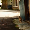 猫町夕張　最終