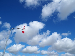 晩夏の空へ