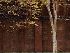 枯と錆のcomposition 枯と錆のcomposition