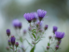 告別の花束