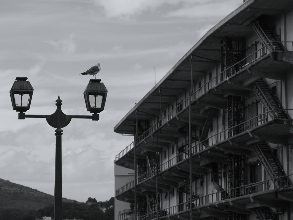 北運河