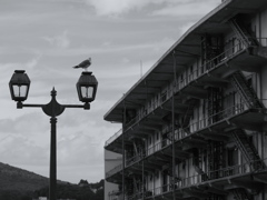 北運河