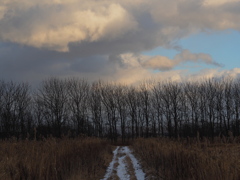 冬空の散歩道