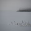 1/18　通勤風景　雪・霧・氷