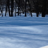 雪は青かった