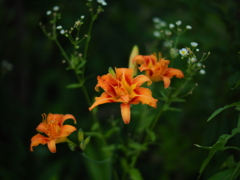 路傍の花束