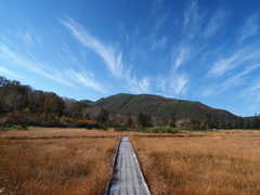 山へ！