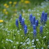 畦の花園