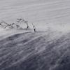 雪は流れる