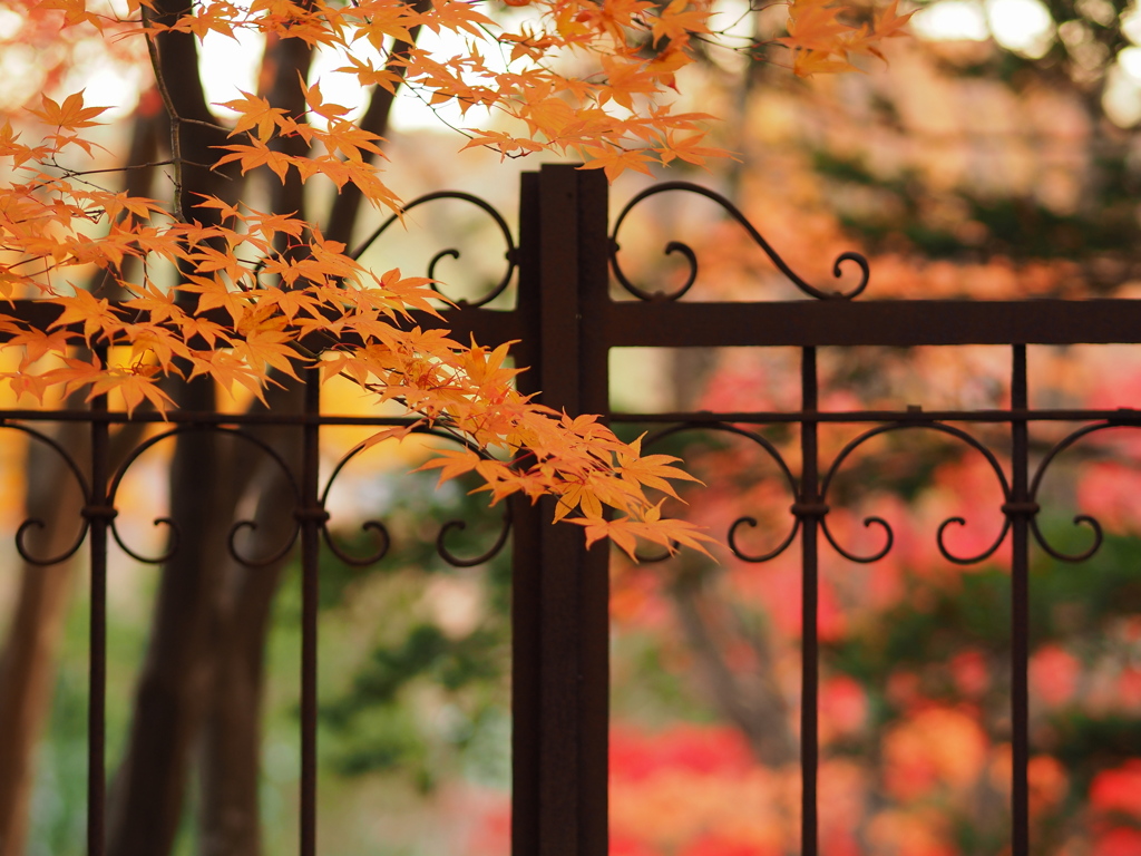 門と紅葉