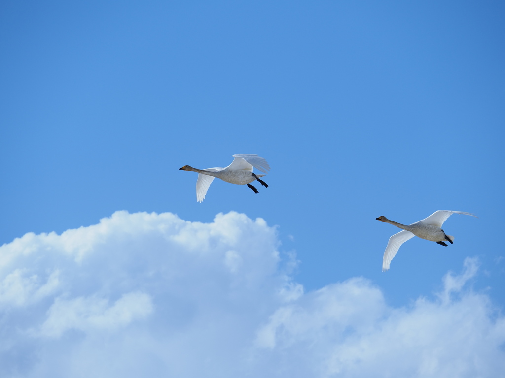 ふたりの空