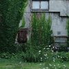 小樽composition