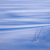 雪の光