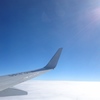 空からの帰省
