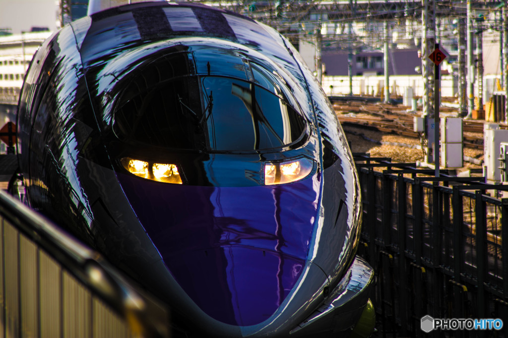 500　TYPE　EVA　