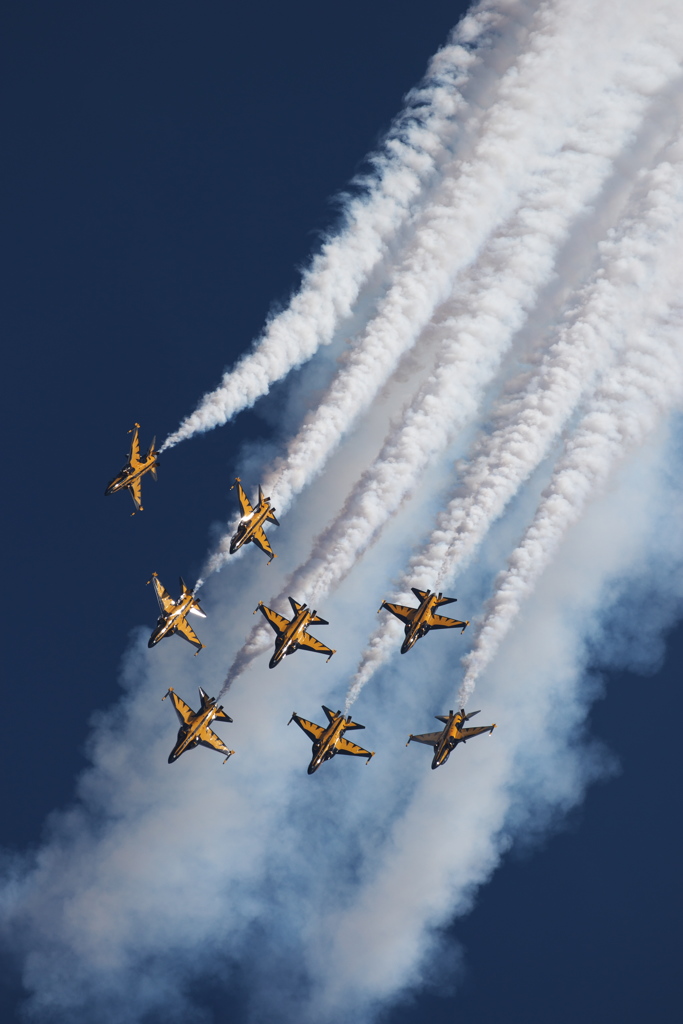 LIMA17 ブラックイーグルス