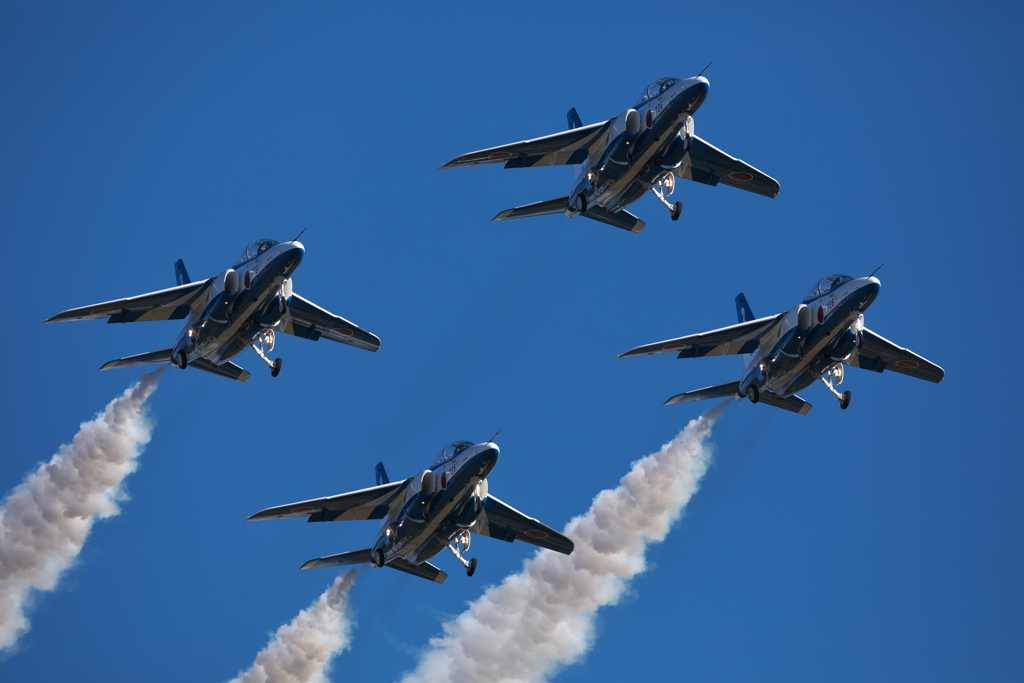 入間基地航空祭 BI