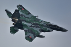 160224百里基地 アグレッサー