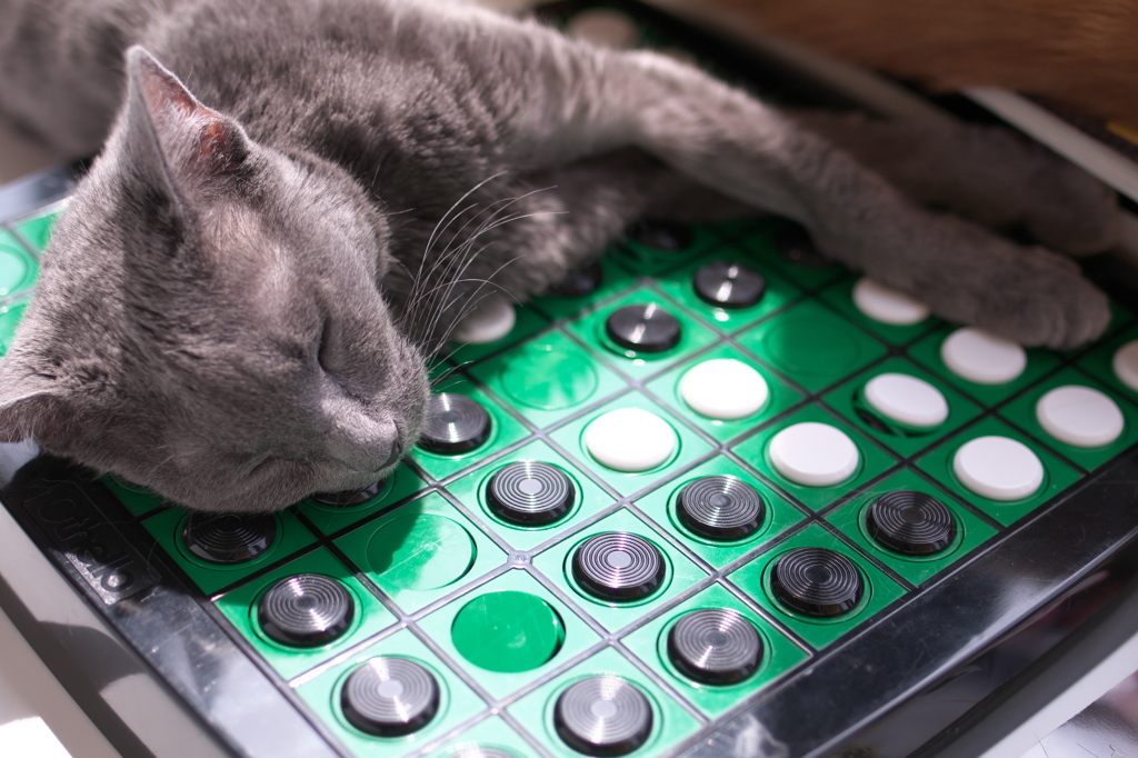 上野猫まるカフェ