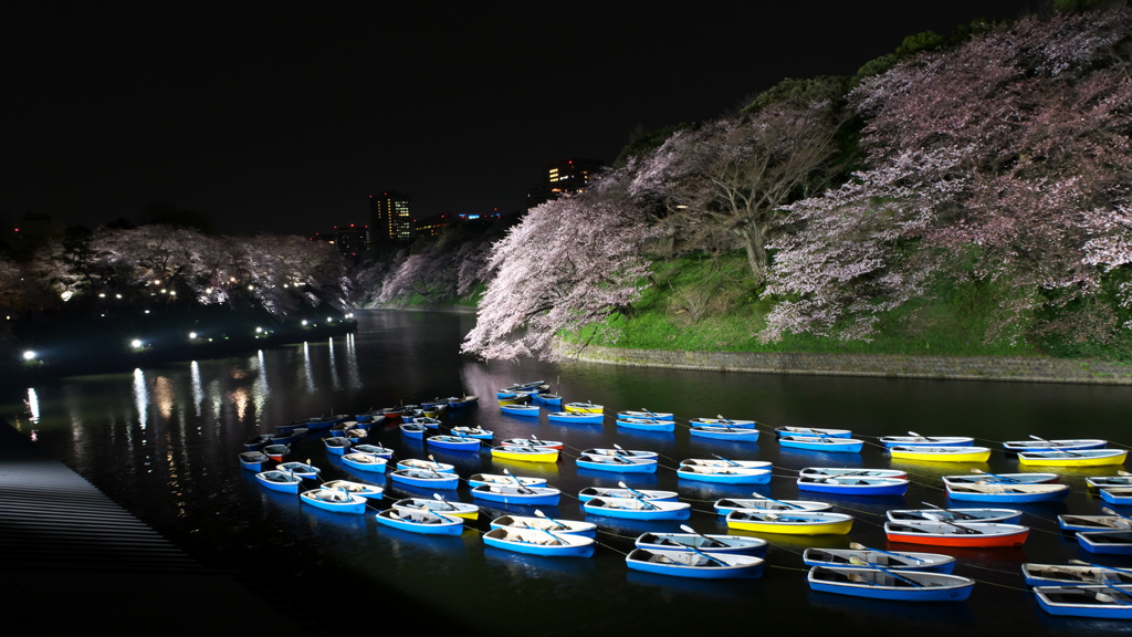 千鳥ヶ淵