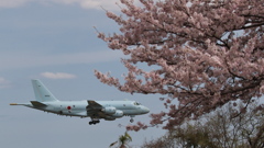 厚木基地